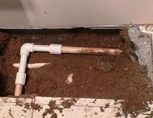 铜梁测漏水哪家好