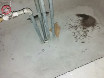 铜梁卫生间测漏水价格明细