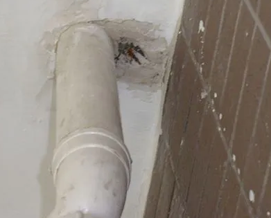 铜梁漏水检测哪家好